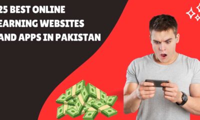 Exploring Best Online Earning Websites in Pakistan